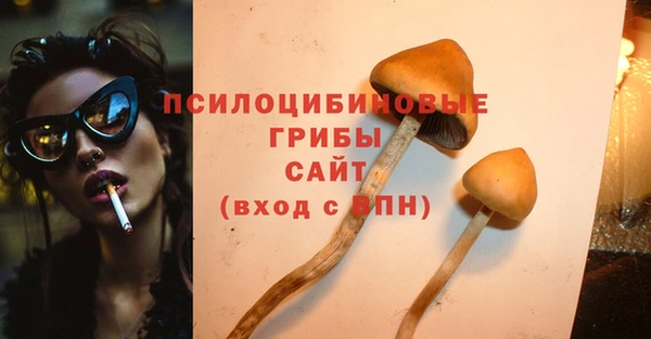 винт Бронницы