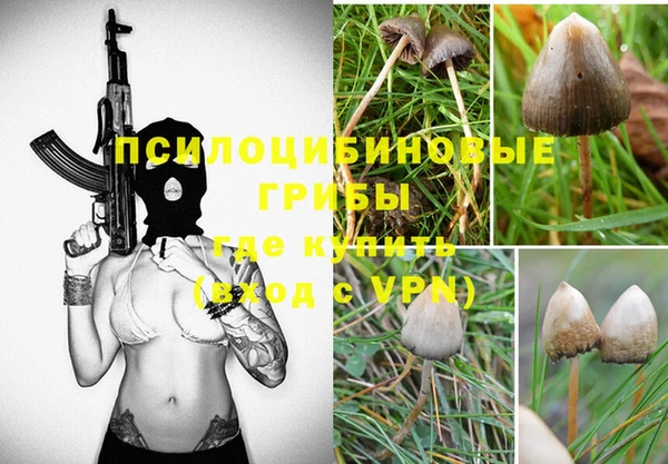 винт Бронницы