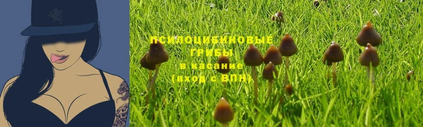 синтетический гашиш Бородино