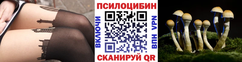 где можно купить   Каспийск  Псилоцибиновые грибы прущие грибы 